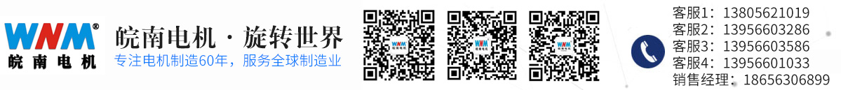 安徽涇縣皖華電機銷售有限公司